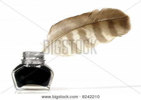 Pinfeather