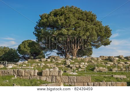 Altar Of Zeus Remains