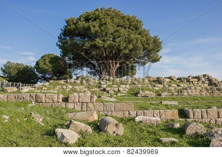Altar Of Zeus