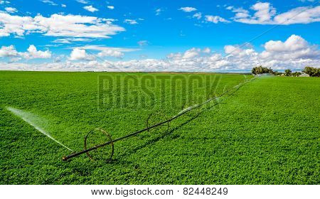 Irrigation