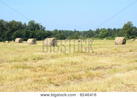 Haystacks mező