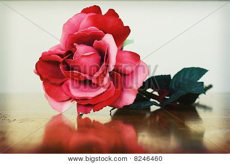 Rosey