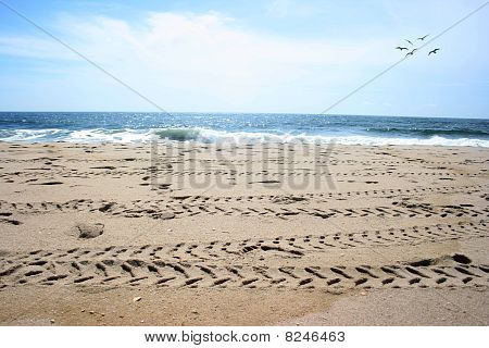 En dag på stranden
