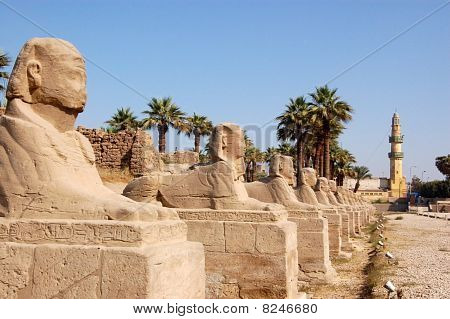 Alej sfing, Luxor