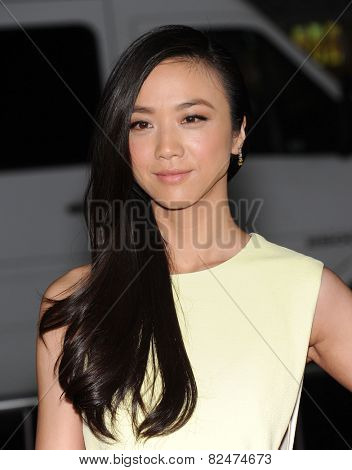 LOS ANGELES - JAN 08:  Tang Wei arrives to the 