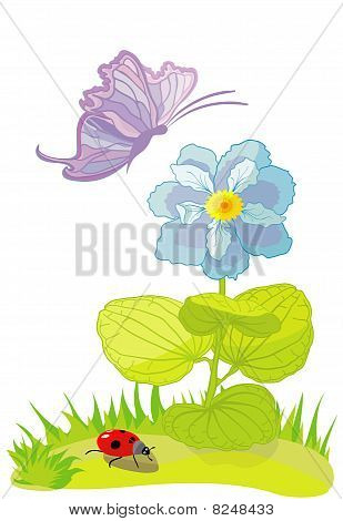 Fiore con la farfalla e la coccinella