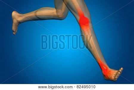 Conceptual 3D human man anatomy or health design, joint or articular pain, ache or injury on blue background, for medical, fitness, medicine, bone, care, hurt, osteoporosis, painful, arthritis or body