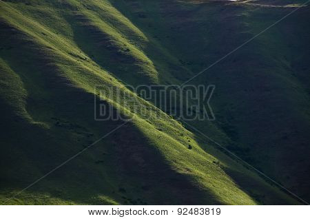 Nature Abstract: The Green Slopes Of Hells Canyon In Spring