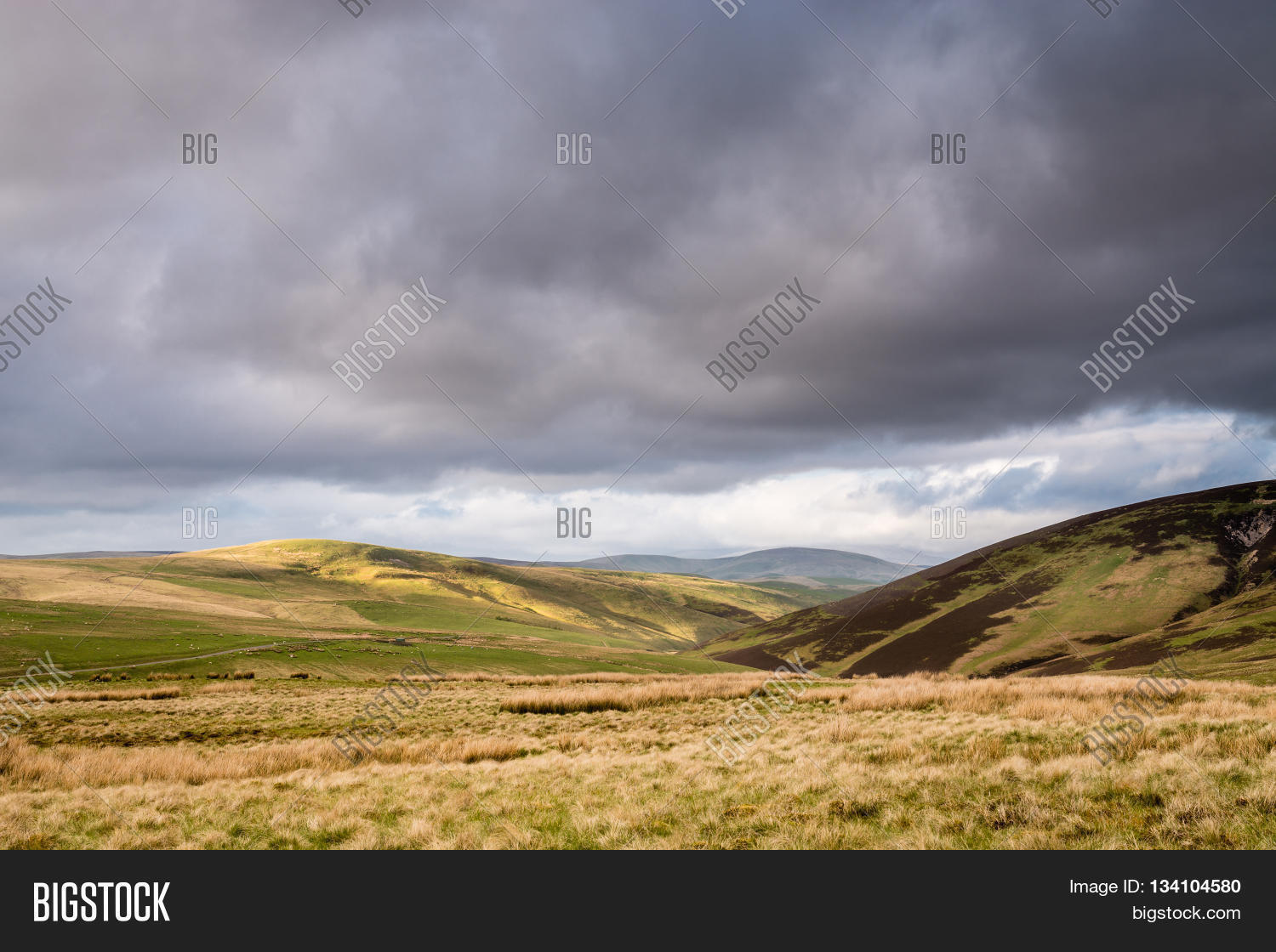 Cheviot Hills Source Image & Photo (Free Trial) | Bigstock