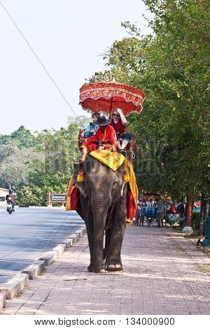 Tourists On An Elefant Ride  In Ajutthaja