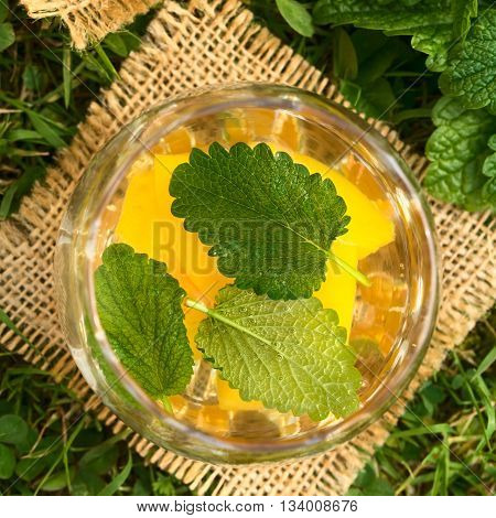 Refreshing peach lemon balm and white wine punch or wine cooler in glass set on grass photographed overhead with natural light