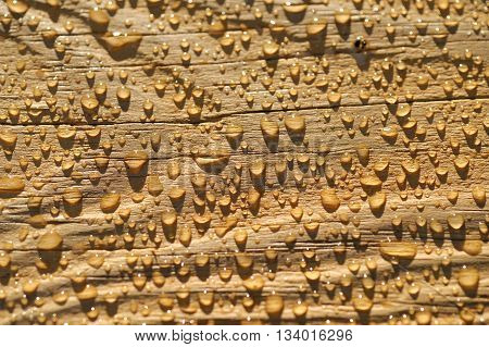 rain drop on painted wood surface for design