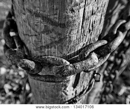 A rust, old chain wrapped around a worn fence post.