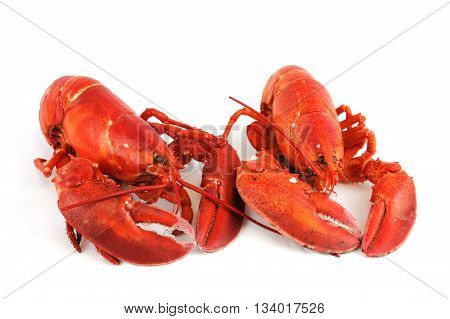 cooked red lobster isolated on white background