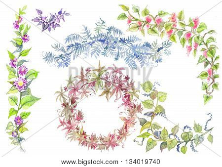 Branches with green leaves isolated on white background. Hand painting on paper. Watercolor liana set. Nature elements collection suit for wedding design.