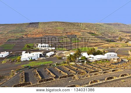Farmhouse In Rural Hilly Area In Lanzarote