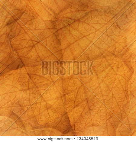 Abstract background of gold leaf texture pattern