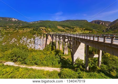 Bridge Durdevica in River Tara canyon - Montenegro - travel background
