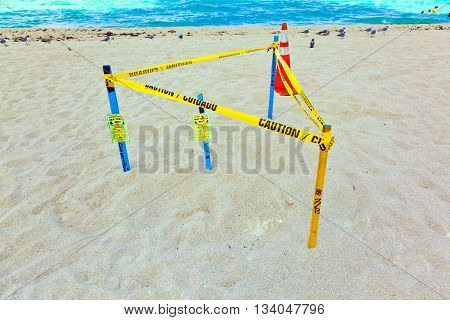MIAMI, USA - JUNE 3, 2012: seaturtle net under the sand of the beach protected by a barrier