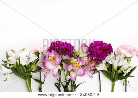 Pink and purple gillyflowers with alstroemeria on the bottom of white background