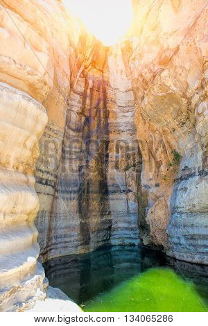 Oasis With  Sergeant And Can Water In The Desert Of Negev