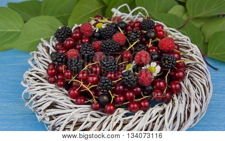 ripe berries on a wooden table - blackberies raspberries and currants
