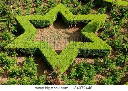 garden of Alhambra, Grenada, Andalusia , spain