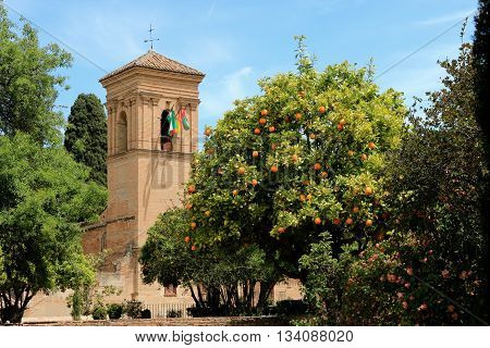 garden of Alhambra, Grenada, Andalusia , spain