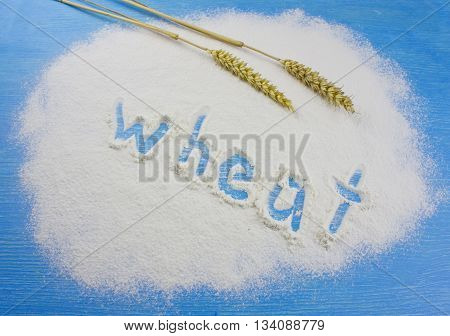White flour with wheat ears on blue wooden background