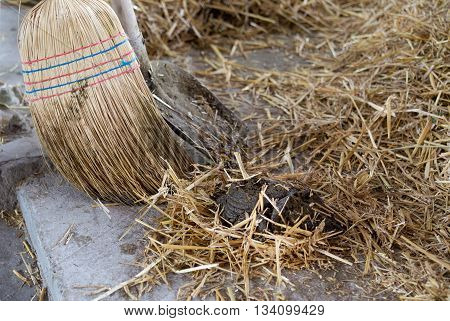 Broom And Shovel For Cattle Dung