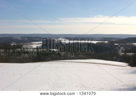 Ozimá pšenice pole