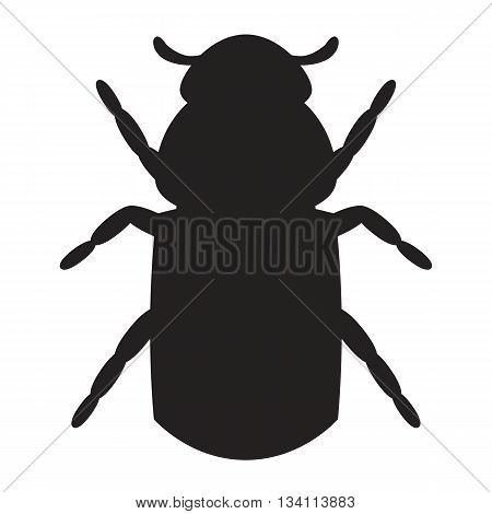 Icon bark beetle. Silhouette of a bark beetle isolated on the white background. Vector illustration.