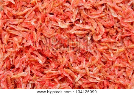 dried shrimp background - Many small shrimps