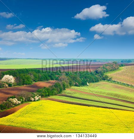 Countryside Colorful Fields and Sky Background - beautiful nature landscape, idillyc waves of hills, wallpaper
