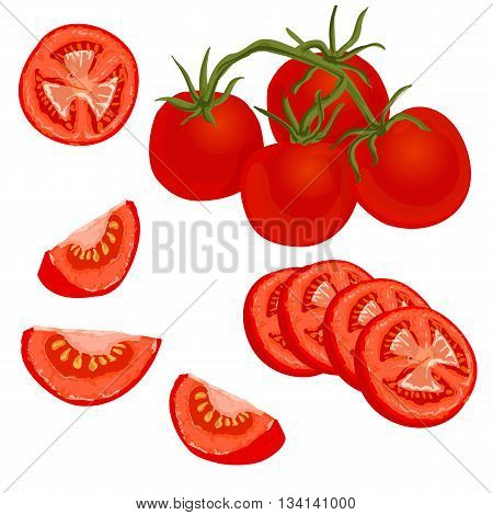 Tomatoes set. Vector illustration of whole and sliced ripe fresh tomatoes on white background isolated