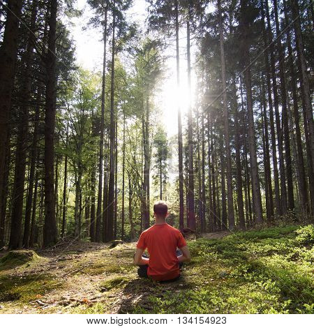 Concentration and meditation in a grean beautiful forest