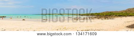 Panorama Of The El Garrapatero Beach On Santa Cruz Island In Galapagos.