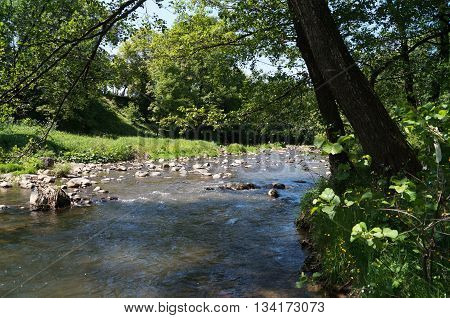 Mountain turbulent river flows among green meadows and trees