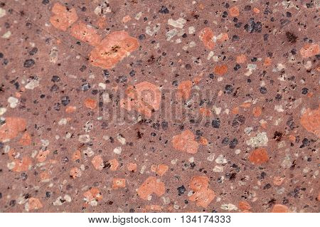 Surface of a porphyry rhyolite rock from central Europe Saxony-Anhalt. The rock contains fragments of feldspars quartz and amphibole minerals in a fine grained matrix.