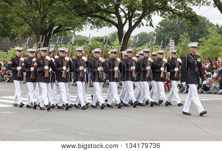Memorial Day Parade - Washington D.c.