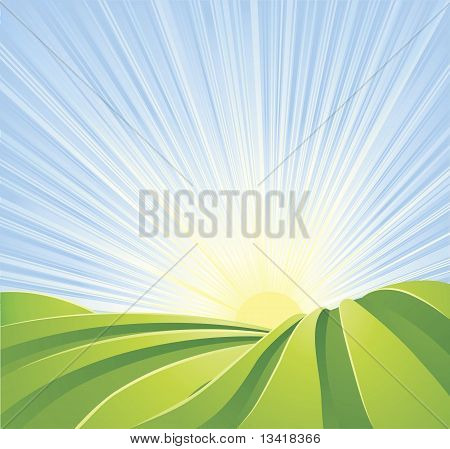 Идиллический зеленый поля с солнечных лучей и голубое небо.