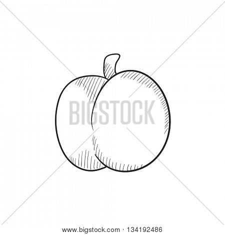 Plum with leaf vector sketch icon isolated on background. Hand drawn Plum with leaf icon. Plum with leaf sketch icon for infographic, website or app.
