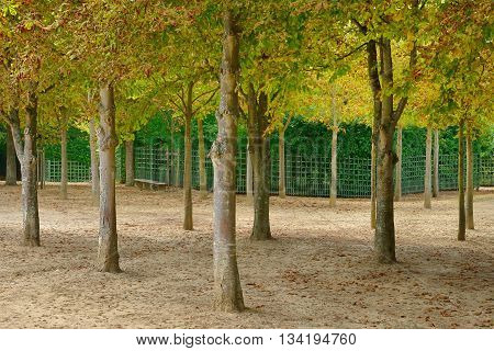 Versailles France - august 19 2015 : the Marie Antoinette estate in the parc of Versailles Palace. garden of Petit Trianon