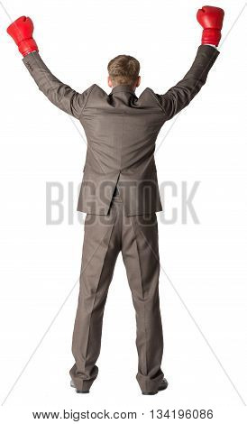 Portrait of a successful businessman. Isolated on white background, rear view