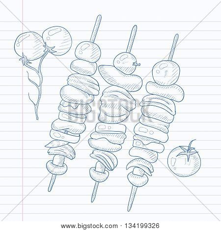 Shish kebabs on skewers. Shish kebabs hand drawn on notebook paper in line background. Shish kebabs vector sketch illustration.