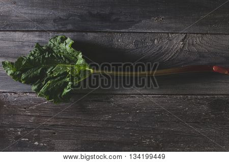Organic pieplant lying on old wooden table
