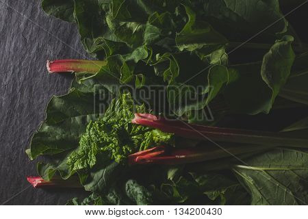 Organic pieplant with leaves lying on dark stone