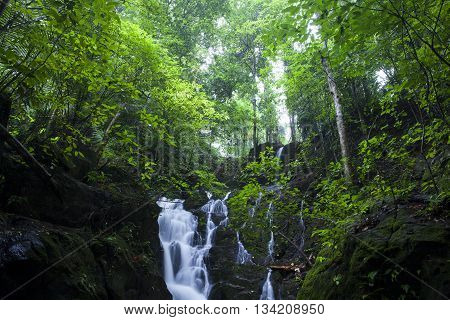 Ton Sai WaterfallBan Khao Phra Thaeo WildlifePhuket Thailand.