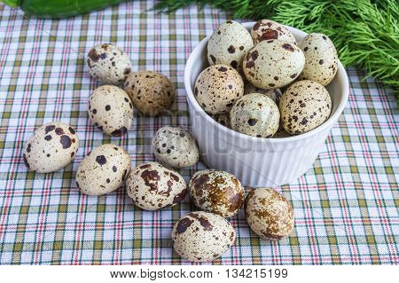 Quail eggs in a white bowl and a scattering of eggs and fresh herbs on a light background