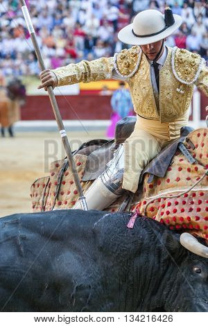 Jaen Spain - October 18 2010: Picador bullfighter lancer whose job it is to weaken bull's neck muscles in the bullring for Jaen Spain
